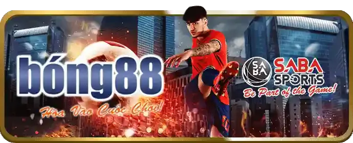 Lỗi liên kết TIC88